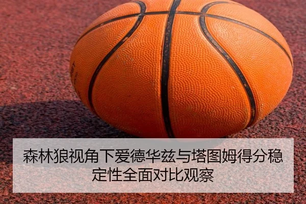 森林狼视角下爱德华兹与塔图姆得分稳定性全面对比观察
